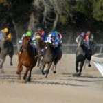 Thumbnail of post image 006